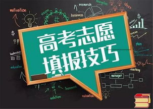 高考書(shū)法藝考生報(bào)考指南 本科分?jǐn)?shù)線、院校代碼與志愿填報(bào)策略